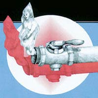 Diego and Gertie illustration