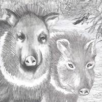 poison gas illustration