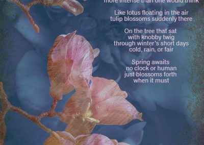 Spring Awaits No Clock