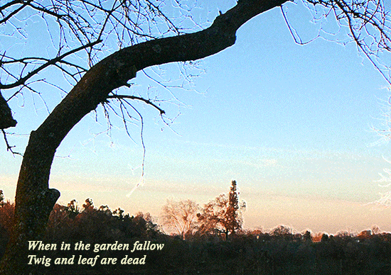 Springs Breath image