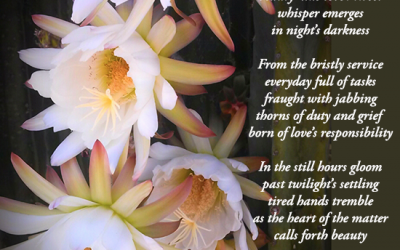 Cereus Joys of Caretaking