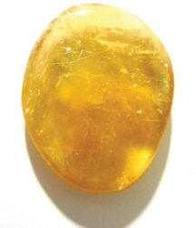 South – The Southern Dancer