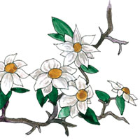 Fitzgerald illustration